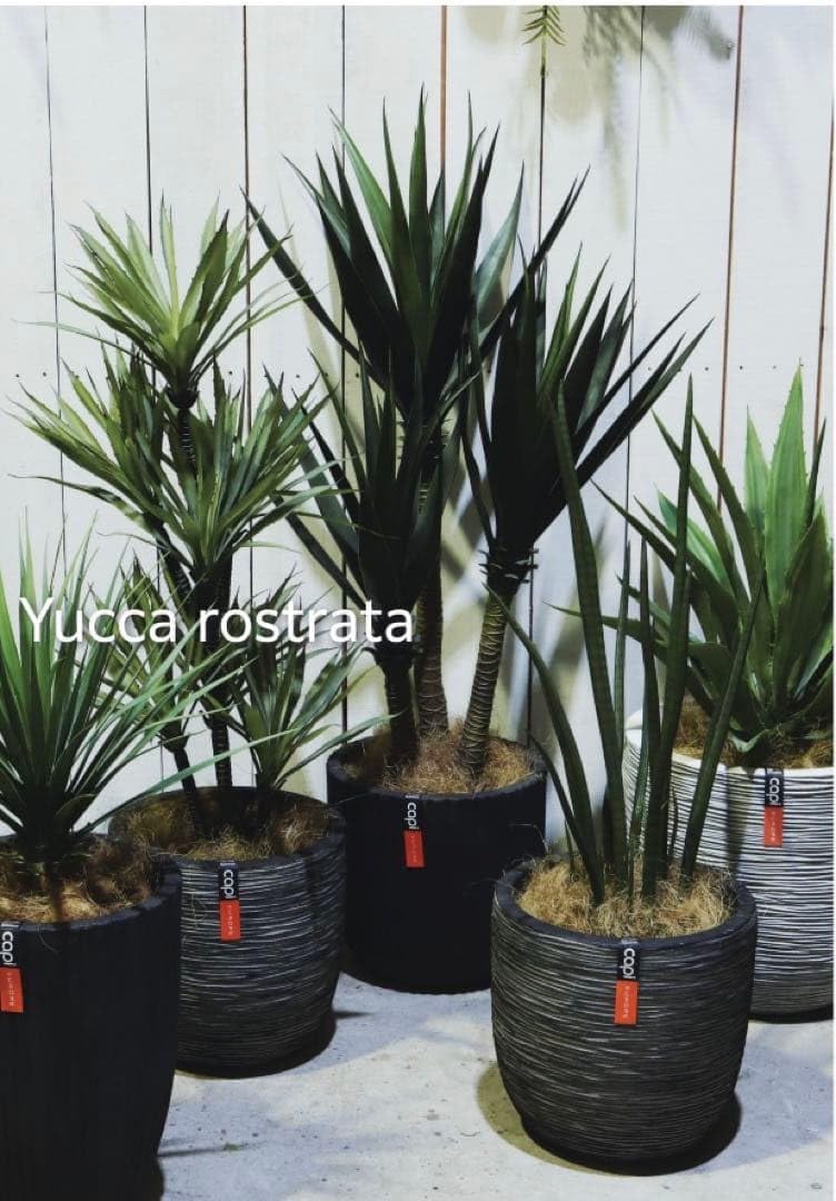 Amazon.co.jp: 光触媒 人工観葉植物 ウォールグリーン フェイク